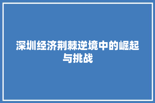 深圳经济荆棘逆境中的崛起与挑战 深圳经济荆棘逆境中的崛起与挑战