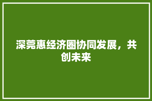 深莞惠经济圈协同发展,共创未来 深莞惠经济圈协同发展,共创未来