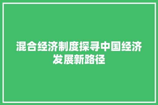 混合经济制度探寻中国经济发展新路径 混合经济制度探寻中国经济发展新路径