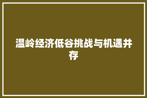 温岭经济低谷挑战与机遇并存