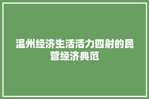 温州经济生活活力四射的民营经济典范 温州经济生活活力四射的民营经济典范