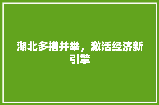 湖北多措并举,激活经济新引擎 湖北多措并举,激活经济新引擎