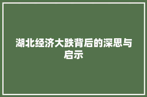 湖北经济大跌背后的深思与启示 湖北经济大跌背后的深思与启示