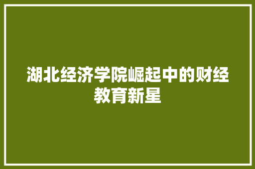 湖北经济学院崛起中的财经教育新星