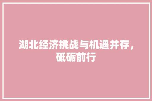 湖北经济挑战与机遇并存,砥砺前行 湖北经济挑战与机遇并存,砥砺前行