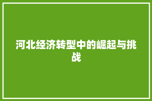 河北经济转型中的崛起与挑战 河北经济转型中的崛起与挑战