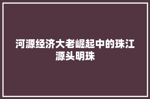 河源经济大老崛起中的珠江源头明珠 河源经济大老崛起中的珠江源头明珠