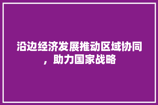 沿边经济发展推动区域协同,助力国家战略 沿边经济发展推动区域协同,助力国家战略