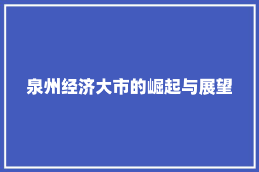 泉州经济大市的崛起与展望 泉州经济大市的崛起与展望