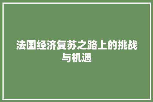 法国经济复苏之路上的挑战与机遇 法国经济复苏之路上的挑战与机遇