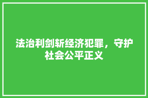 法治利剑斩经济犯罪，守护社会公平正义