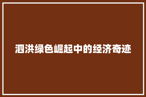 泗洪绿色崛起中的经济奇迹 泗洪绿色崛起中的经济奇迹