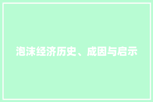 泡沫经济历史、成因与启示 泡沫经济历史、成因与启示