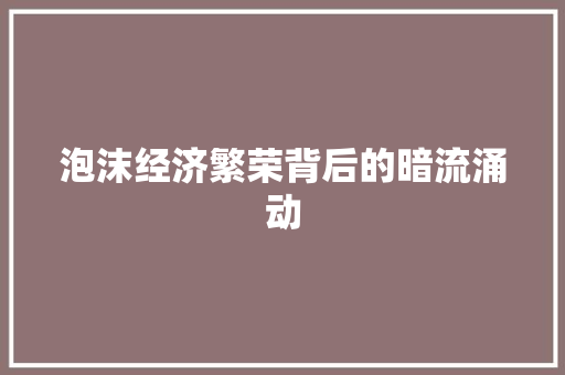 泡沫经济繁荣背后的暗流涌动