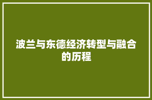 波兰与东德经济转型与融合的历程 波兰与东德经济转型与融合的历程