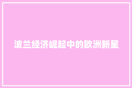 波兰经济崛起中的欧洲新星
