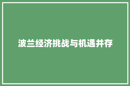 波兰经济挑战与机遇并存 波兰经济挑战与机遇并存