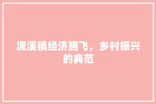 泥溪镇经济腾飞,乡村振兴的典范 泥溪镇经济腾飞,乡村振兴的典范