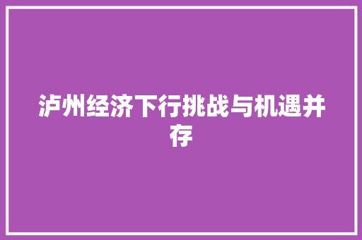 泸州经济下行挑战与机遇并存 泸州经济下行挑战与机遇并存