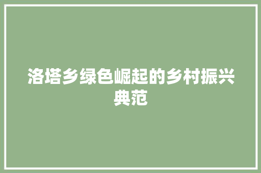 洛塔乡绿色崛起的乡村振兴典范 洛塔乡绿色崛起的乡村振兴典范