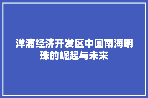 洋浦经济开发区中国南海明珠的崛起与未来 洋浦经济开发区中国南海明珠的崛起与未来