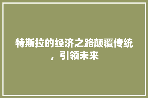 特斯拉的经济之路颠覆传统，引领未来