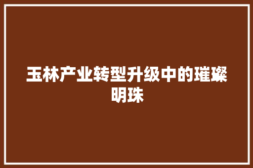 玉林产业转型升级中的璀璨明珠 玉林产业转型升级中的璀璨明珠
