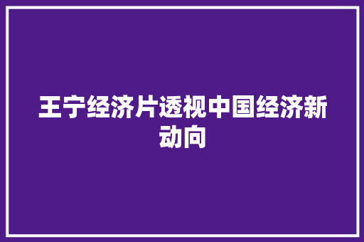 王宁经济片透视中国经济新动向 王宁经济片透视中国经济新动向