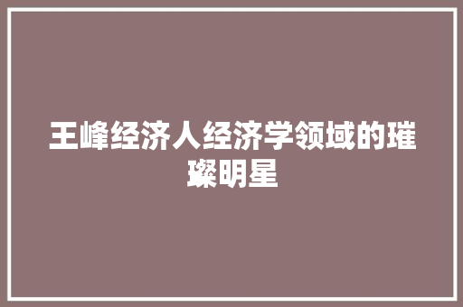 王峰经济人经济学领域的璀璨明星 王峰经济人经济学领域的璀璨明星