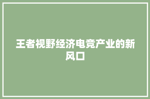 王者视野经济电竞产业的新风口 王者视野经济电竞产业的新风口