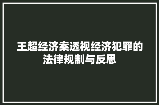 王超经济案透视经济犯罪的法律规制与反思 王超经济案透视经济犯罪的法律规制与反思