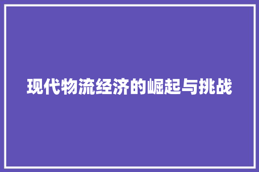 现代物流经济的崛起与挑战 现代物流经济的崛起与挑战