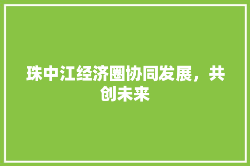 珠中江经济圈协同发展,共创未来 珠中江经济圈协同发展,共创未来