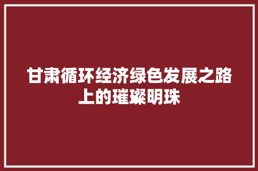 甘肃循环经济绿色发展之路上的璀璨明珠 甘肃循环经济绿色发展之路上的璀璨明珠