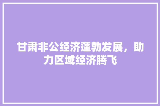 甘肃非公经济蓬勃发展,助力区域经济腾飞 甘肃非公经济蓬勃发展,助力区域经济腾飞