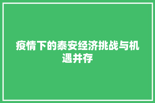 疫情下的泰安经济挑战与机遇并存 疫情下的泰安经济挑战与机遇并存