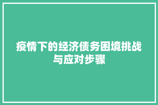 疫情下的经济债务困境挑战与应对步骤 疫情下的经济债务困境挑战与应对步骤