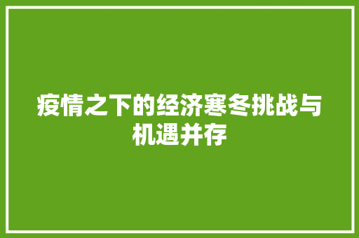 疫情之下的经济寒冬挑战与机遇并存 疫情之下的经济寒冬挑战与机遇并存
