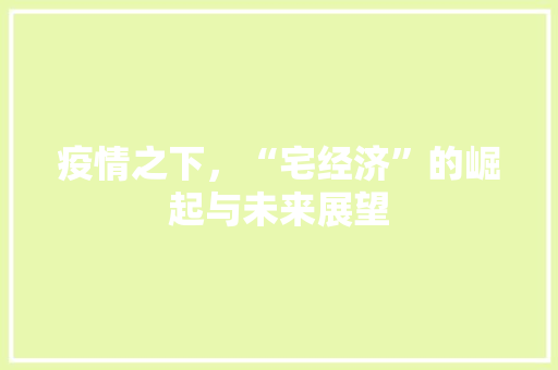 疫情之下,“宅经济”的崛起与未来展望 疫情之下,“宅经济”的崛起与未来展望