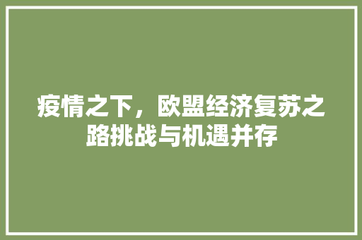 疫情之下,欧盟经济复苏之路挑战与机遇并存 疫情之下,欧盟经济复苏之路挑战与机遇并存