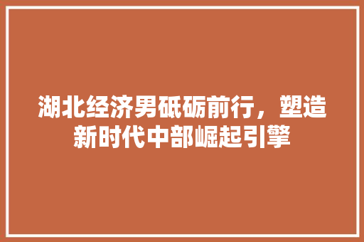 湖北经济男砥砺前行,塑造新时代中部崛起引擎 湖北经济男砥砺前行,塑造新时代中部崛起引擎