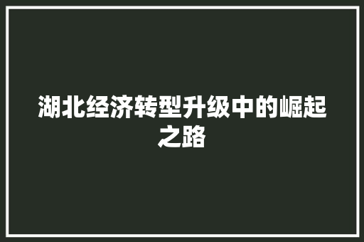 湖北经济转型升级中的崛起之路 湖北经济转型升级中的崛起之路