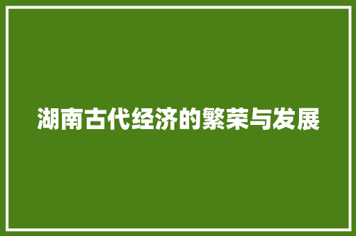 湖南古代经济的繁荣与发展 湖南古代经济的繁荣与发展