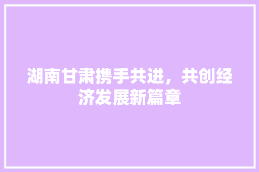 湖南甘肃携手共进,共创经济发展新篇章 湖南甘肃携手共进,共创经济发展新篇章