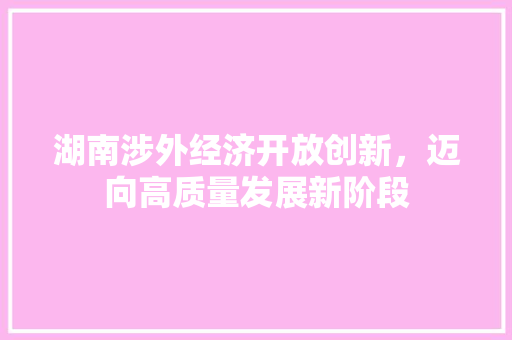 湖南涉外经济开放创新，迈向高质量发展新阶段