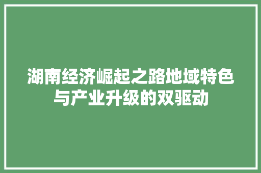 湖南经济崛起之路地域特色与产业升级的双驱动 湖南经济崛起之路地域特色与产业升级的双驱动