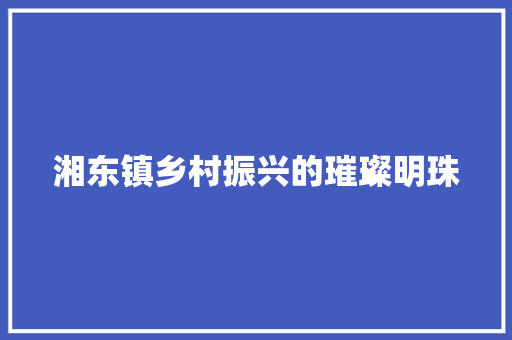 湘东镇乡村振兴的璀璨明珠 湘东镇乡村振兴的璀璨明珠