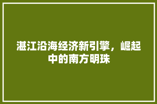 湛江沿海经济新引擎,崛起中的南方明珠 湛江沿海经济新引擎,崛起中的南方明珠