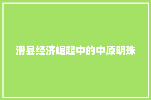 滑县经济崛起中的中原明珠 滑县经济崛起中的中原明珠
