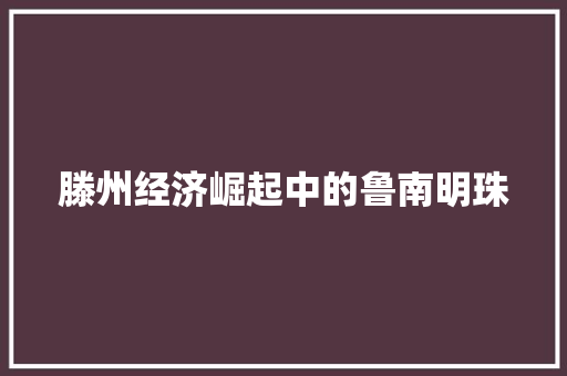 滕州经济崛起中的鲁南明珠 滕州经济崛起中的鲁南明珠